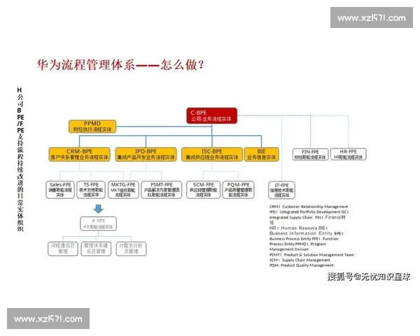 企业流程管理优化与数字化转型协同提升策略研究